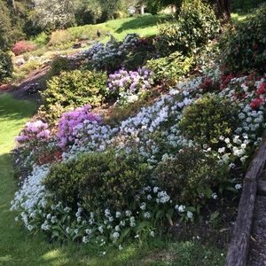 Meet your Posher, Carrie